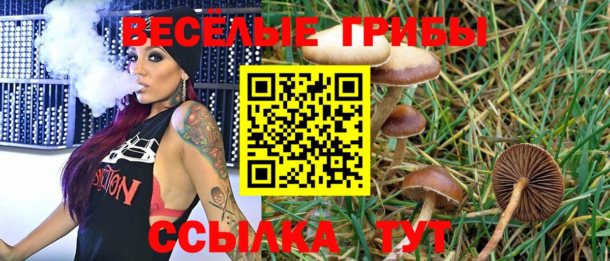 Псилоцибиновые грибы Psilocybe  Галлюциногенные грибы Magic Shrooms  Трёхгорный  где можно купить наркотик  Вход с VPN 